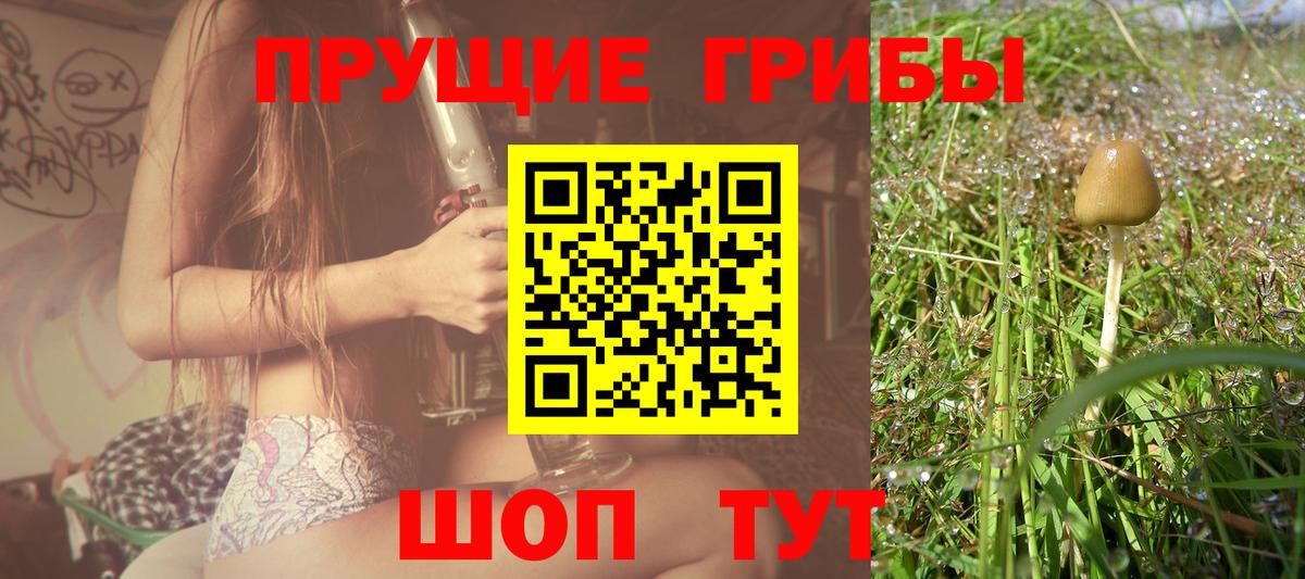 Алушта  Галлюциногенные грибы Psilocybe  Вход с VPN 